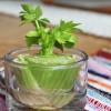 Re-Grow Vegetables at Home source: Daily Hiit