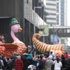 Houston Thanksgiving Day Activities Houston Thanksgiving Day