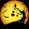 A Safe and Spooky Halloween halloween1