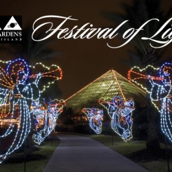 Bring in the Holidays at Moody Gardens’ Festival of Lights! Source: Go Galveston