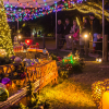 Celebrate the Holidays at the Houston Zoo Source: Houston Zoo