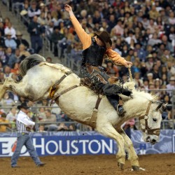 Explore the 2015 Houston Livestock Show and Rodeo! Source: Lone Star Executive Limo
