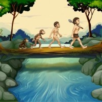 Did Cavemen Know the Value of a High-Quality Mattress? Even Our Earliest Ancestors Valued a Good Mattress