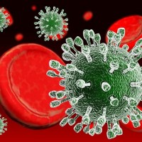 Study: Disrupted Sleep Accelerates Cancer Growth Study: Disrupted Sleep Accelerates Cancer Growth