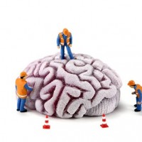 Study: Protect Your Brain Tissue With Sleep Study: Protect Your Brain Tissue With Sleep