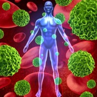 Chronic Sleep Loss Causes Major Damage to Cells Chronic Sleep Loss Causes Major Damage to Cells