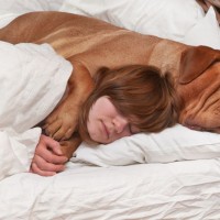 How to Sleep Better With Your Furry Friend How to Sleep Better With Your Furry Friend