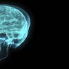 Your Brain Keeps Remembering While You Sleep 880737_86187705