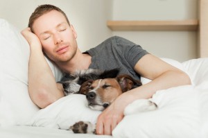 Co-Sleeping With Pets, Is It Really Disruptive? 