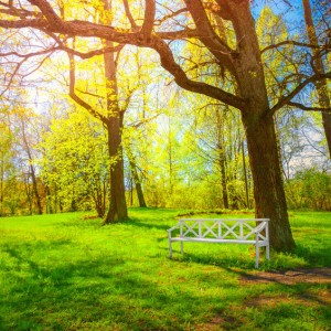 Access to Nature Linked to Better Sleep Quality Access to Nature Linked to Better Sleep Quality
