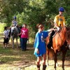 Improve the Quality of Lives Using Horses with SIRE! Source: SIRE