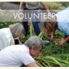 Keep Mercer Beautiful and Be a Garden Volunteer Volunteer at the gardens!