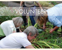 Keep Mercer Beautiful and Be a Garden Volunteer Volunteer at the gardens!