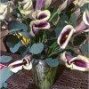 Tips to Keeping Flowers Fresh 