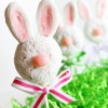 bunnypops