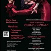 Houston Spanish and Flamenco Festival