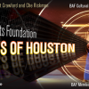 The Brazilian Arts Foundation Hosts Lights of Houston