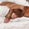 How to Sleep Better With Your Furry Friend