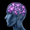 Brain Activity May Predict Your Insomnia Risk